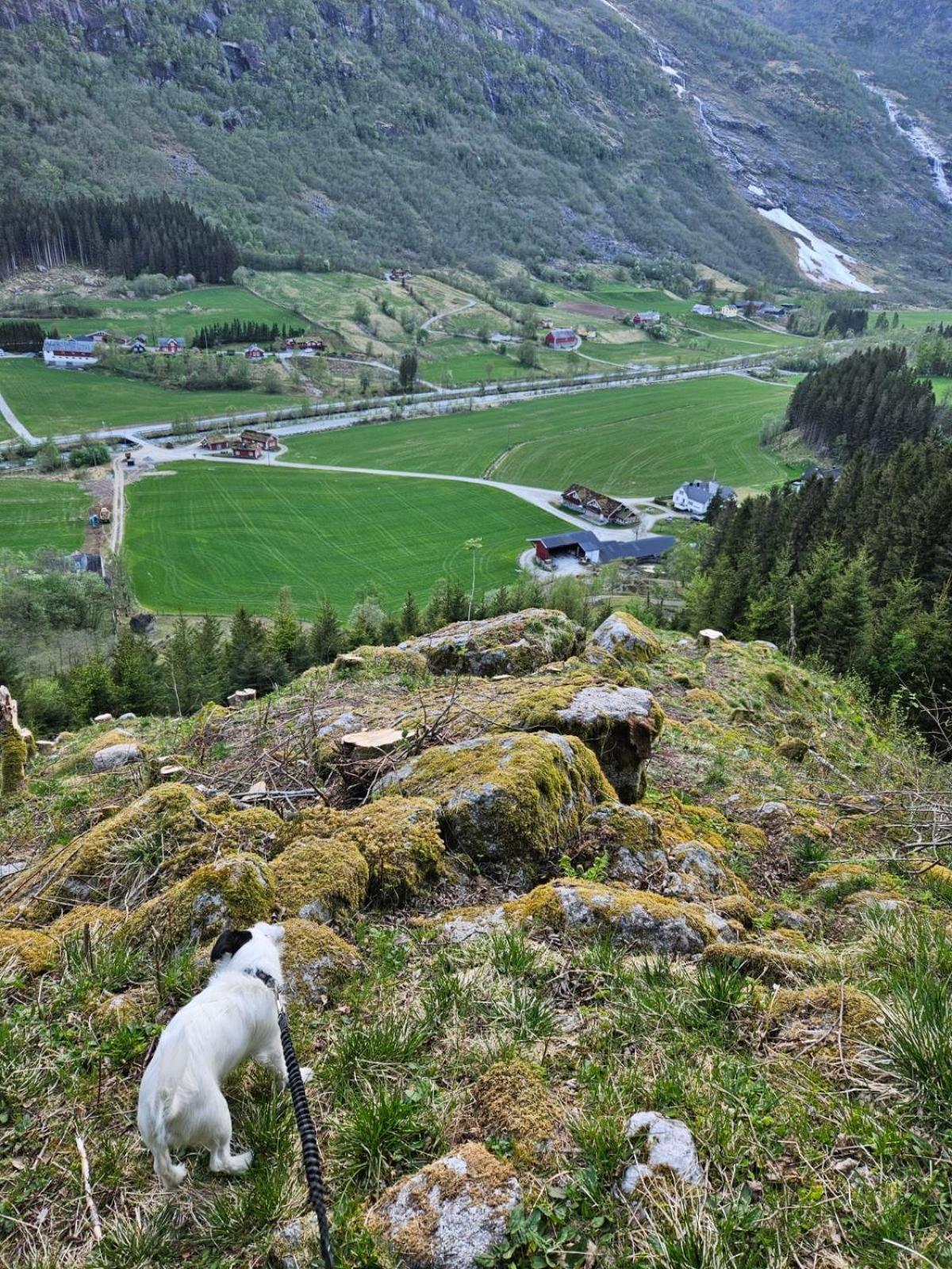 Villa Trollbu Aabrekk Gard Briksdalsbre Exterior foto